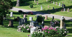 Warren Meadows Funeral Home